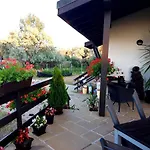 Cirex Delta Club Sulina