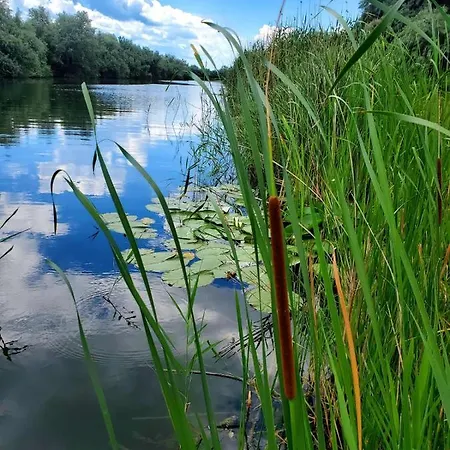 Cirex Delta Club Apartment Sulina